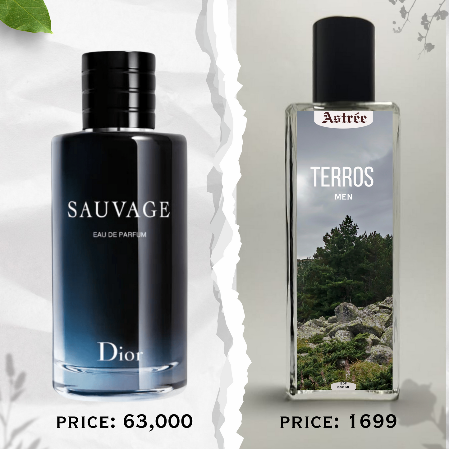 TERROS - INSPIRED BY DIOR SAUVAGE