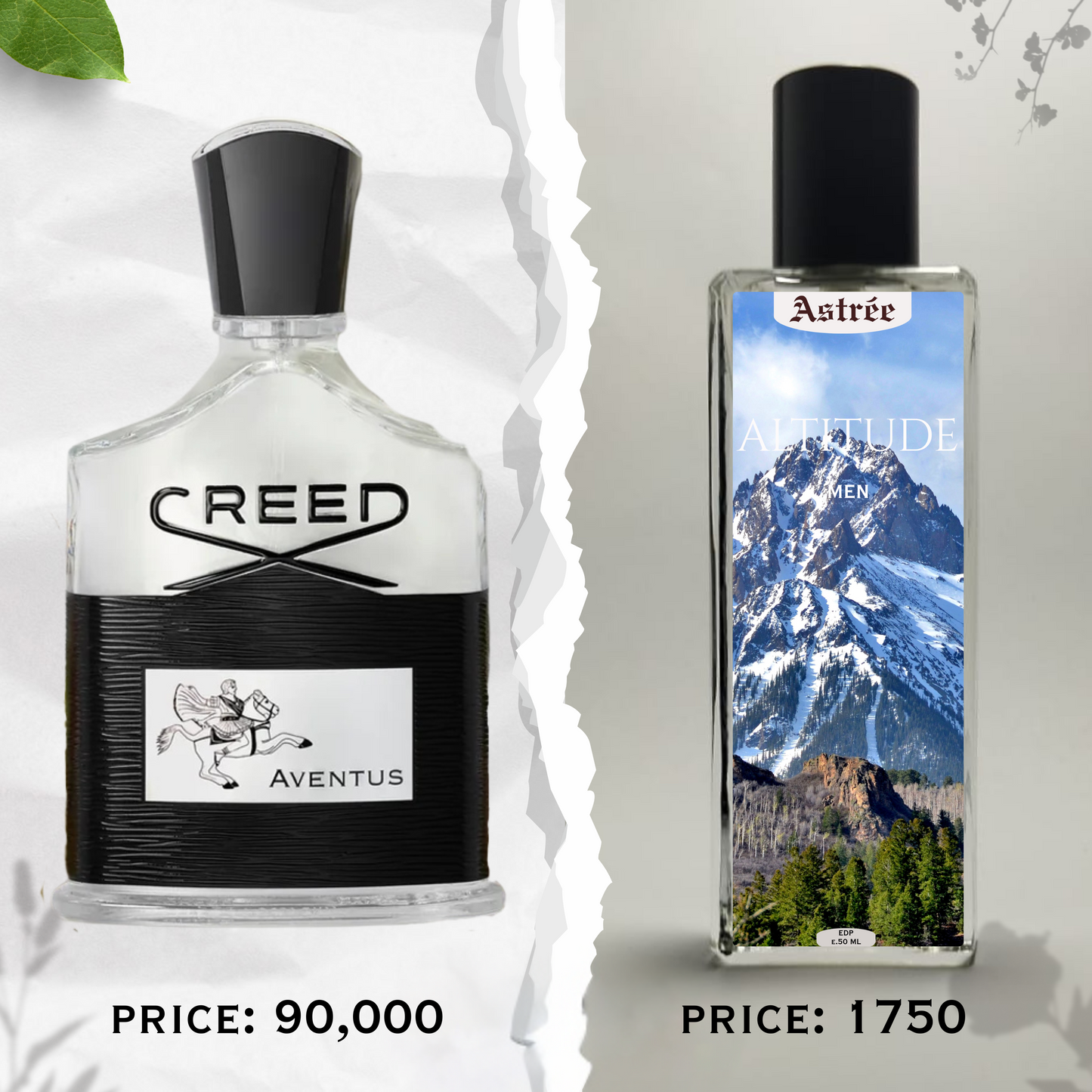 ALTITUDE – INSPIRED BY CREED AVENTUS