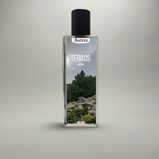 TERROS - INSPIRED BY DIOR SAUVAGE